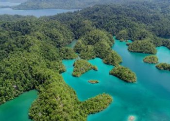 Halmahera, Sepucuk Surat untuk Dunia yang Lupa